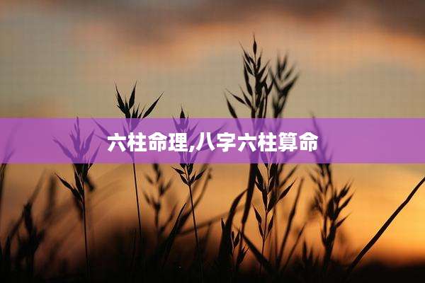 六柱命理,八字六柱算命