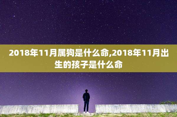 2018年11月属狗是什么命,2018年11月出生的孩子是什么命