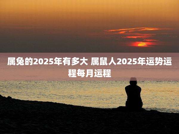 属兔的2025年有多大 属鼠人2025年运势运程每月运程
