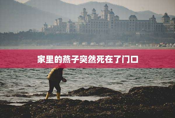 家里的燕子突然死在了门口