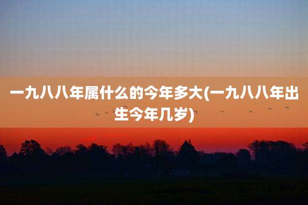 一九八八年属什么的今年多大(一九八八年出生今年几岁)