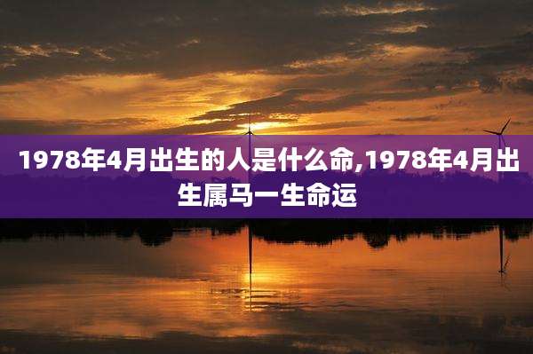 1978年4月出生的人是什么命,1978年4月出生属马一生命运