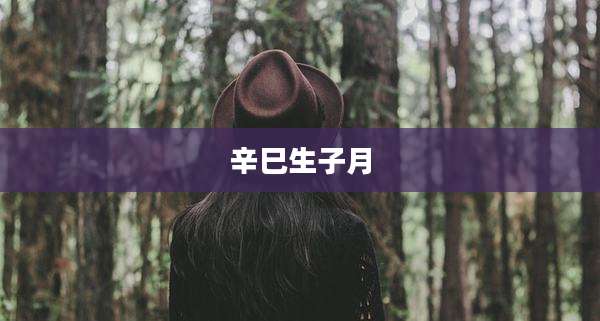 辛巳生子月