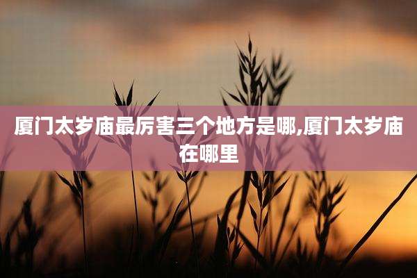 厦门太岁庙最厉害三个地方是哪,厦门太岁庙在哪里