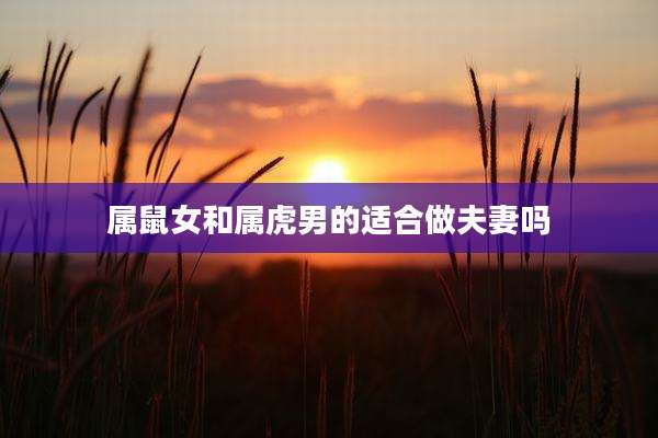 属鼠女和属虎男的适合做夫妻吗