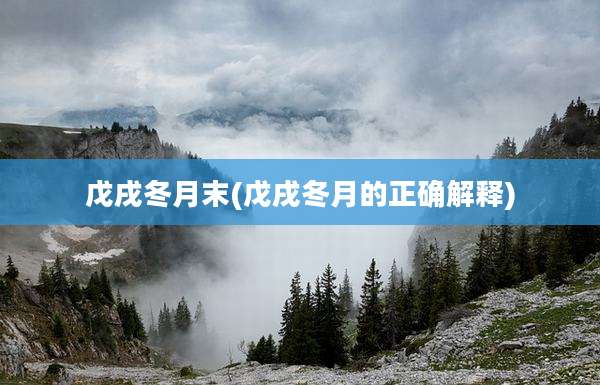 戊戌冬月末(戊戌冬月的正确解释)