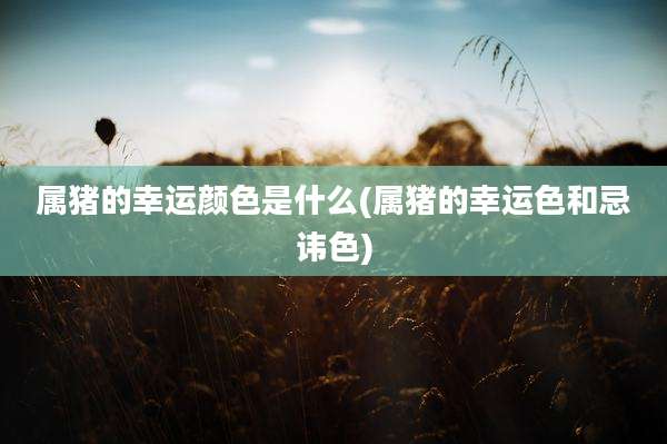 属猪的幸运颜色是什么(属猪的幸运色和忌讳色)