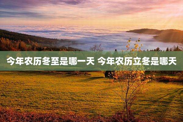 今年农历冬至是哪一天 今年农历立冬是哪天