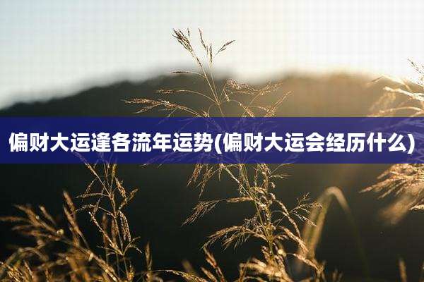 偏财大运逢各流年运势(偏财大运会经历什么)