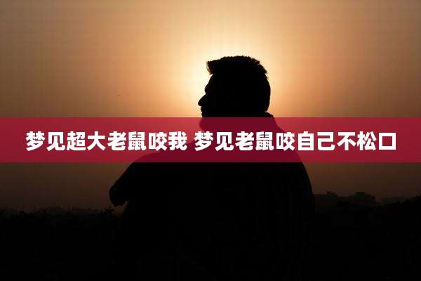 梦见超大老鼠咬我 梦见老鼠咬自己不松口