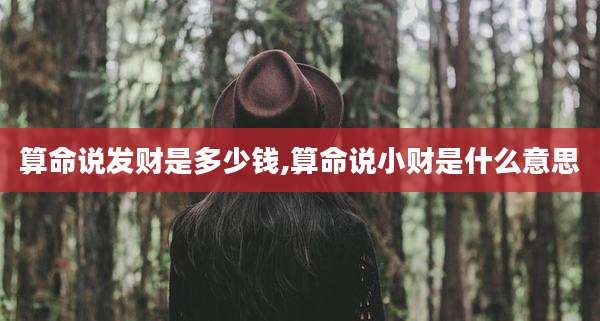 算命说发财是多少钱,算命说小财是什么意思