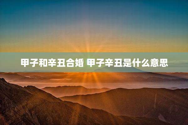 甲子和辛丑合婚 甲子辛丑是什么意思