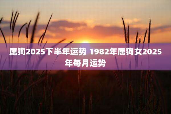 属狗2025下半年运势 1982年属狗女2025年每月运势