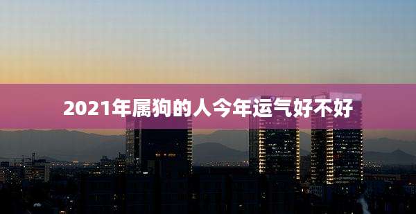 2021年属狗的人今年运气好不好
