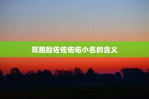 双胞胎佐佐佑佑小名的含义