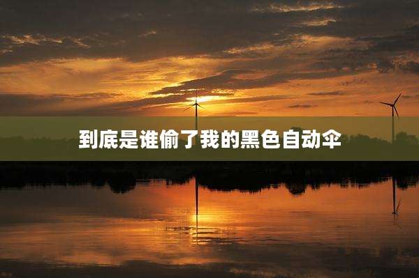 到底是谁偷了我的黑色自动伞