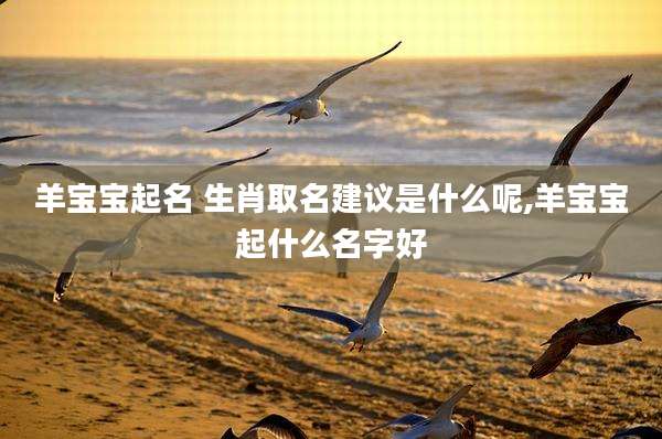 羊宝宝起名 生肖取名建议是什么呢,羊宝宝起什么名字好