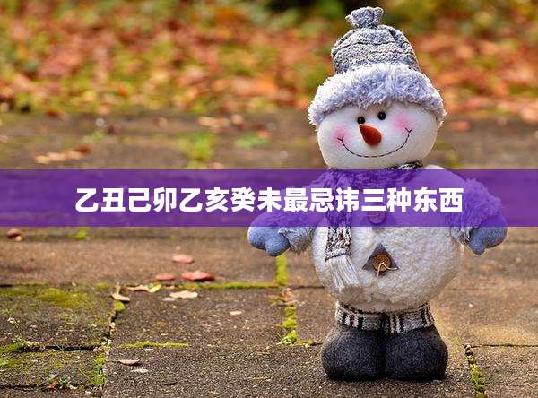 乙丑己卯乙亥癸未最忌讳三种东西
