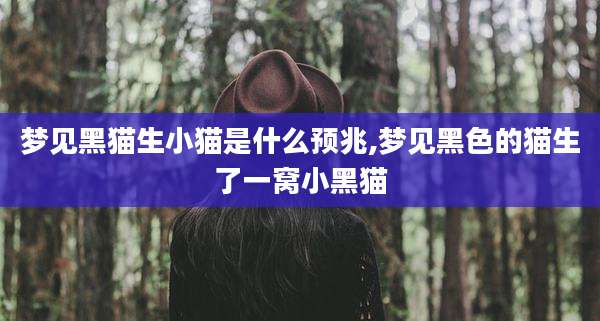 梦见黑猫生小猫是什么预兆,梦见黑色的猫生了一窝小黑猫