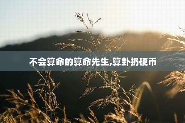 不会算命的算命先生,算卦扔硬币