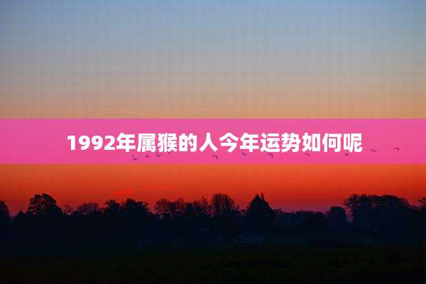 1992年属猴的人今年运势如何呢