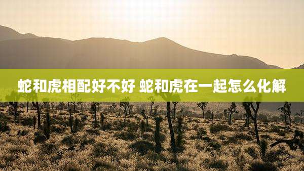 蛇和虎相配好不好 蛇和虎在一起怎么化解