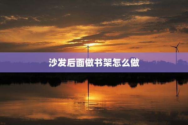 沙发后面做书架怎么做