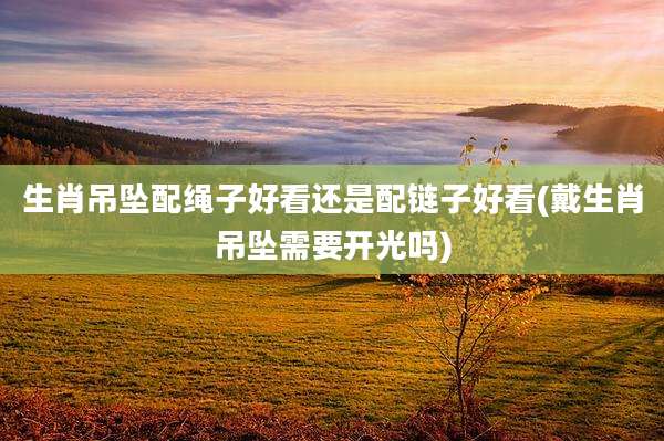 生肖吊坠配绳子好看还是配链子好看(戴生肖吊坠需要开光吗)