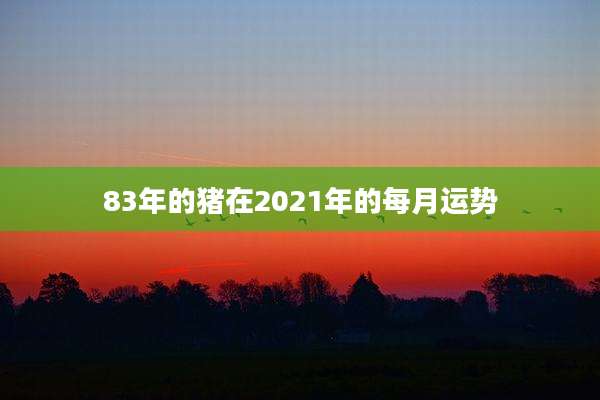 83年的猪在2021年的每月运势