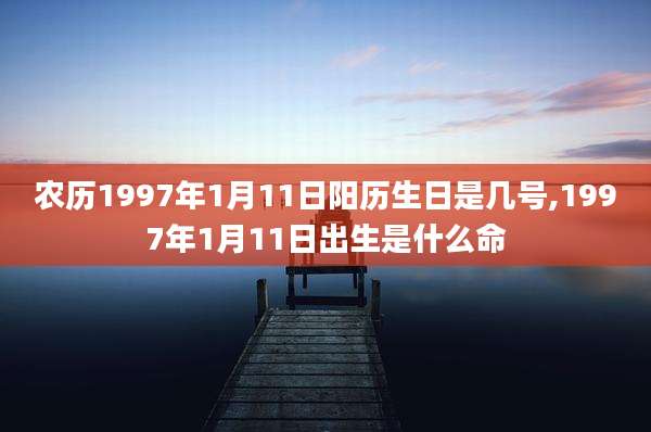 农历1997年1月11日阳历生日是几号,1997年1月11日出生是什么命