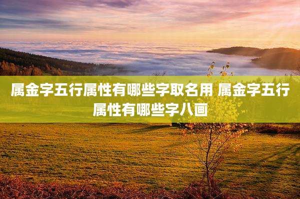 属金字五行属性有哪些字取名用 属金字五行属性有哪些字八画