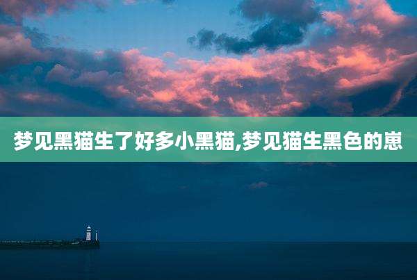 梦见黑猫生了好多小黑猫,梦见猫生黑色的崽