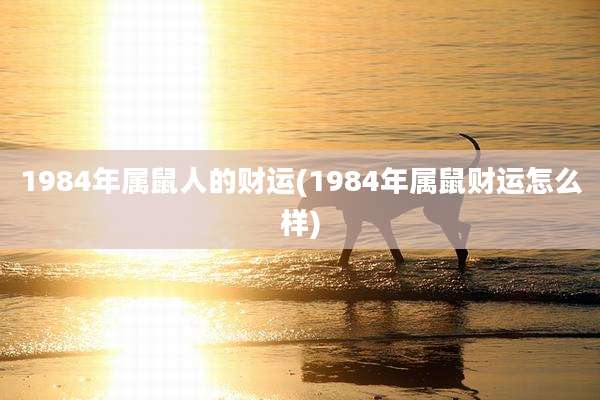 1984年属鼠人的财运(1984年属鼠财运怎么样)