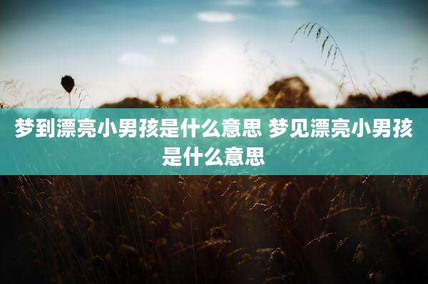 梦到漂亮小男孩是什么意思 梦见漂亮小男孩是什么意思
