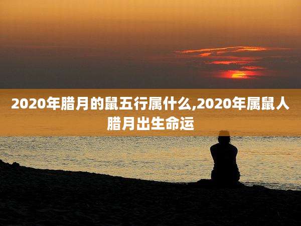 2020年腊月的鼠五行属什么,2020年属鼠人腊月出生命运