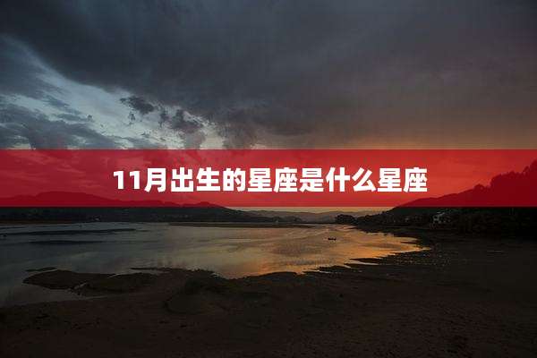 11月出生的星座是什么星座