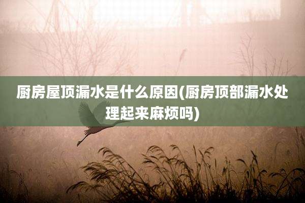 厨房屋顶漏水是什么原因(厨房顶部漏水处理起来麻烦吗)