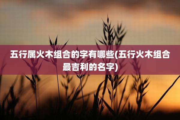 五行属火木组合的字有哪些(五行火木组合最吉利的名字)