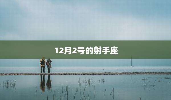 12月2号的射手座