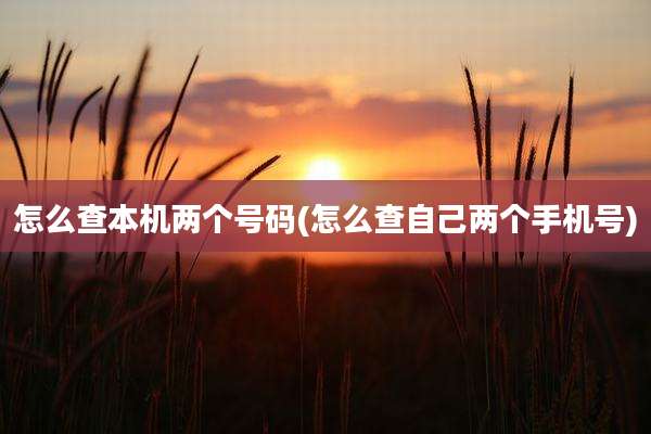 怎么查本机两个号码(怎么查自己两个手机号)