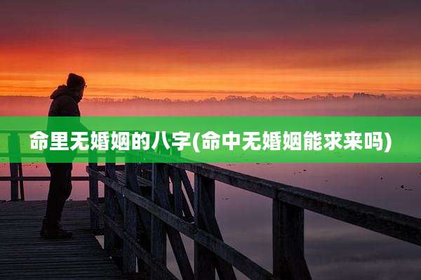命里无婚姻的八字(命中无婚姻能求来吗)
