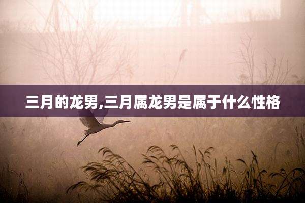 三月的龙男,三月属龙男是属于什么性格