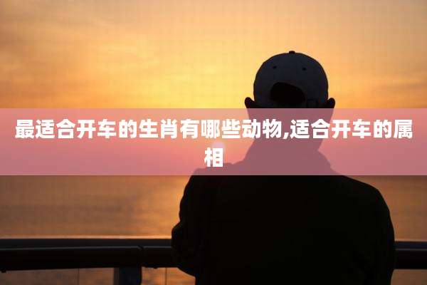 最适合开车的生肖有哪些动物,适合开车的属相
