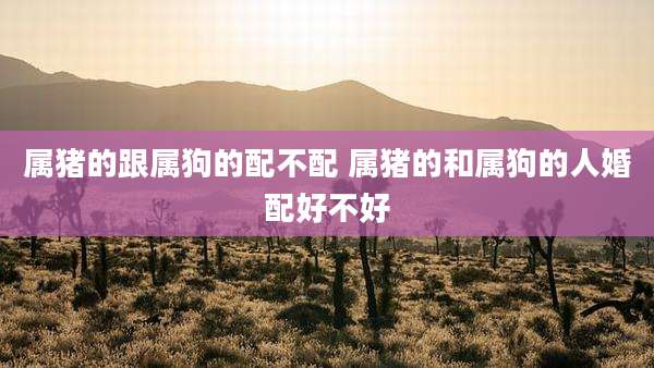 属猪的跟属狗的配不配 属猪的和属狗的人婚配好不好