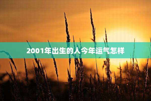 2001年出生的人今年运气怎样