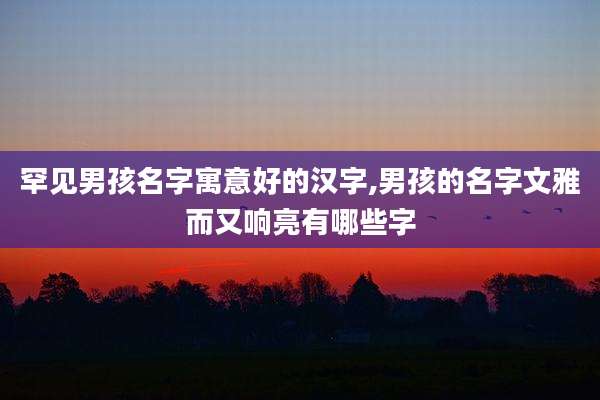 罕见男孩名字寓意好的汉字,男孩的名字文雅而又响亮有哪些字