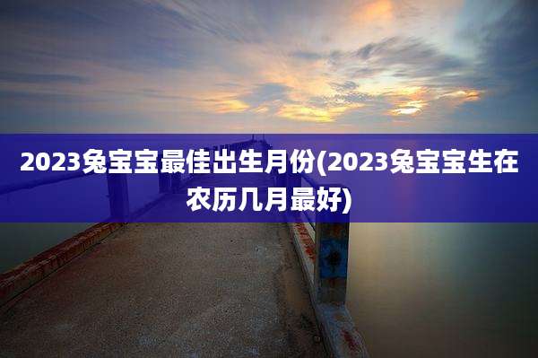 2023兔宝宝最佳出生月份(2023兔宝宝生在农历几月最好)