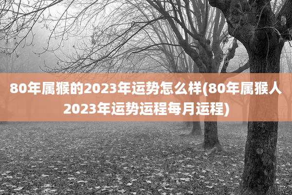80年属猴的2023年运势怎么样(80年属猴人2023年运势运程每月运程)