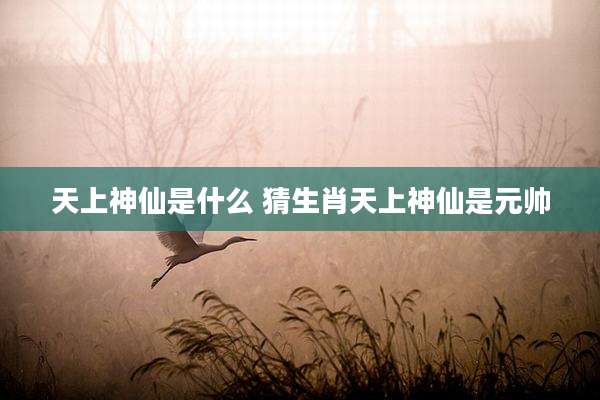 天上神仙是什么 猜生肖天上神仙是元帅