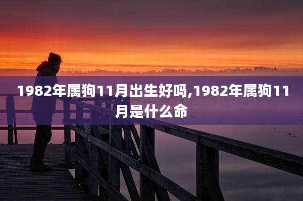 1982年属狗11月出生好吗,1982年属狗11月是什么命